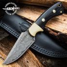 Damascus Gil Hibben 7.5" Sidewinder Knife Brass Black Pakka